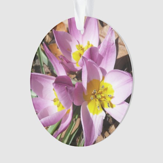 Floral de Pink (devant)