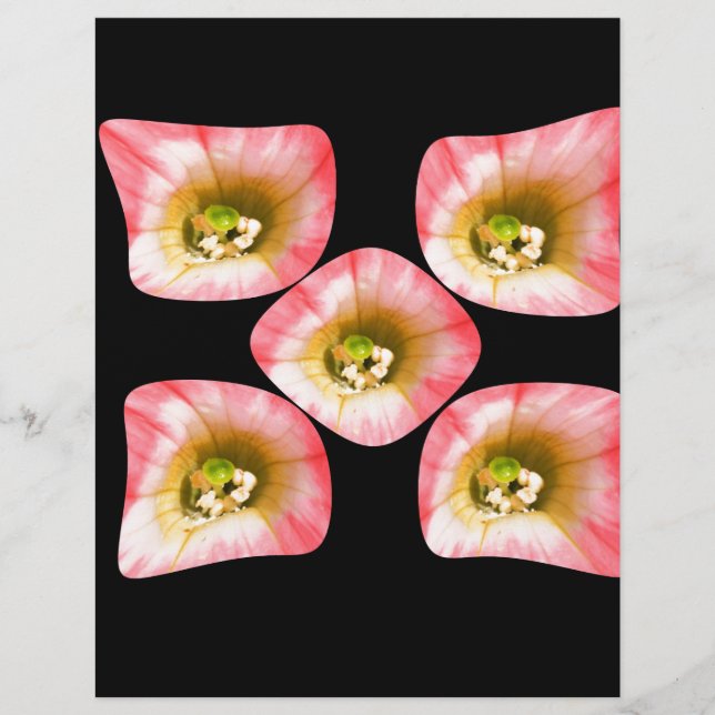 Floral Delight (Voorkant)