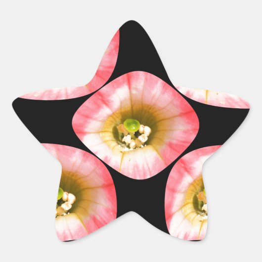 Floral Delight Ster Sticker (Voorkant)