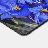 Floral d'Irises réticulées pourpres (Coin)