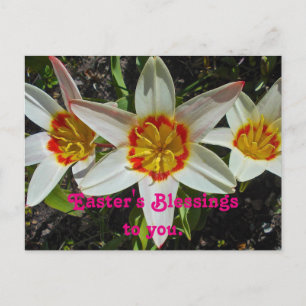 Floral Easter Blessing Feestdagenkaart