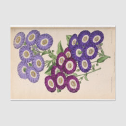 Floral Ephemera Decoupage Paarse Franse bloemen Ti Tissuepapier
