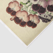 Floral Ephemera Decoupage Paarse Witte Pansies Tissuepapier (Detail)