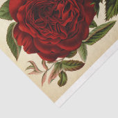 Floral Ephemera Decoupage Red Rose Tissuepapier (Detail)