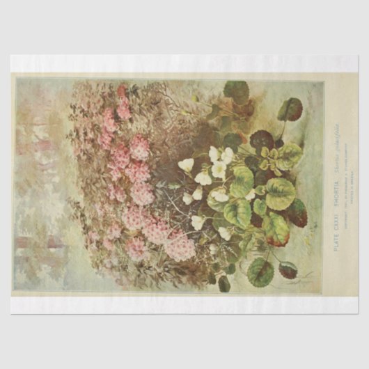 Floral Ephemera Decoupage Roze Hortensia's Tissuepapier (Voorkant)