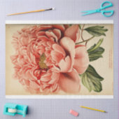 Floral Ephemera Decoupage Roze pioen Tissuepapier (Craft)