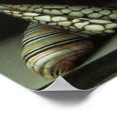 Floral Fine Art Poster of Print (Hoek)