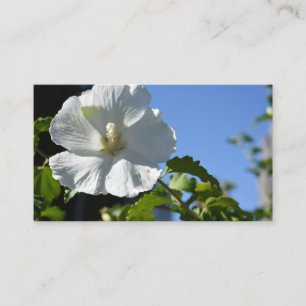 Floral foto van de Natuur van de blauwe hemel Visitekaartje