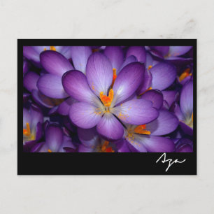 Floral Foto's leven nog steeds. Briefkaart