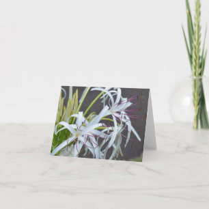 Floral Fragrance Note Kaart
