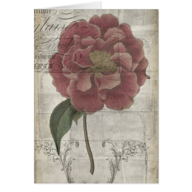 Floral français III (Devant)