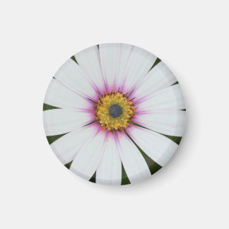 Floral Fridge Magnet Magneet