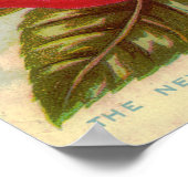 Floral Gem 1897 Rozen Bloedreclame Poster (Hoek)