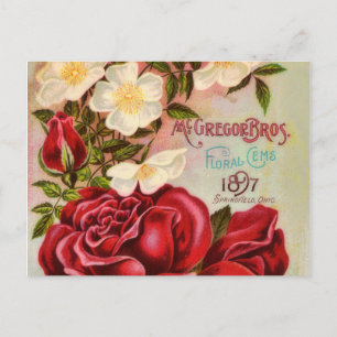 Floral Gem Rozen Catalogus Hoesje bloem Briefkaart