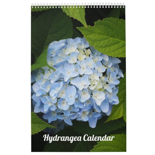 Floral Hydrangea Foto Kalender (Hoes)