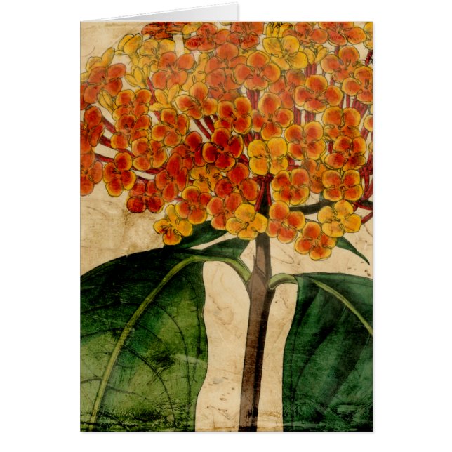 Floral I (Devant)