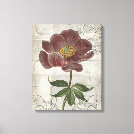 Floral I Canvas Afdruk (Voorkant)