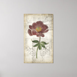 Floral I Canvas Afdruk