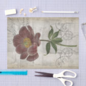 Floral I Tissuepapier (Craft)