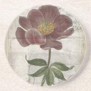 Floral I Zandsteen Onderzetter