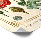 Floral Illustratie Red Poppy Flower Art Poster (Hoek)