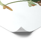  Floral Illustration Botanical Art Print (Hoek)