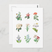 Floral Illustration minimalist Botanical Briefkaart (Voorkant / Achterkant)
