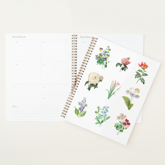 Floral Illustration minimalist Botanical Planner (Display)