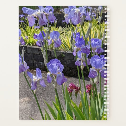 Floral Irises à poils violets (Dos)