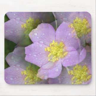 Floral Kalidascope Muismat