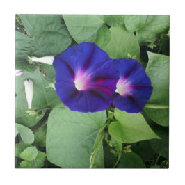 Floral keramische tegels tegeltje