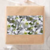 Floral Labels (Insitu)