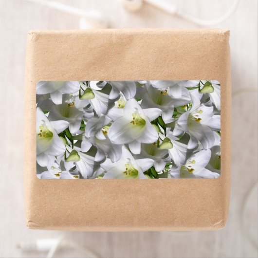 Floral Labels (Insitu)