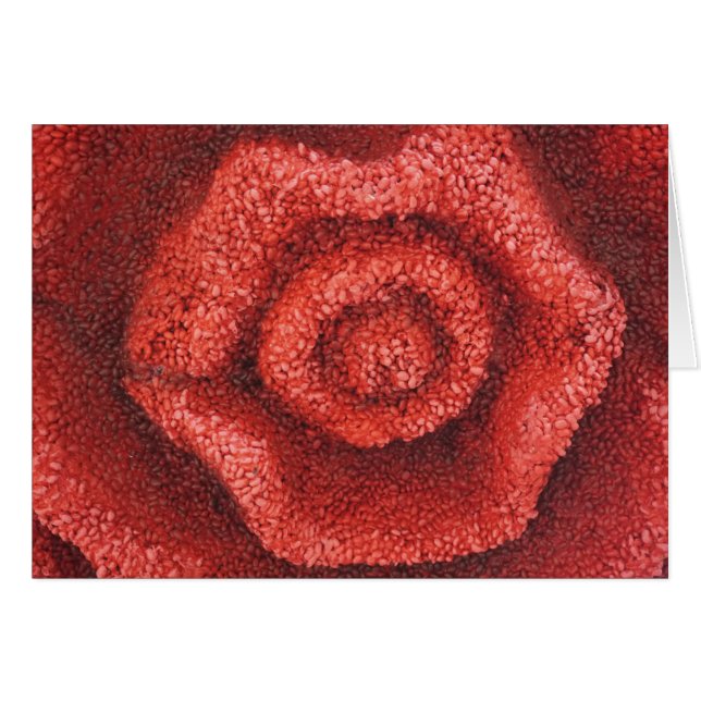 Floral Lips (Voorkant Horizontaal)