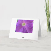 Floral, Merci Pour Cadeau (Dos)