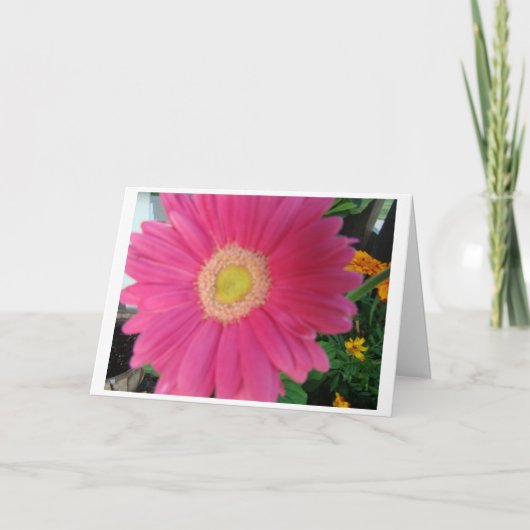 Floral, Merci Pour Cadeau (Devant)
