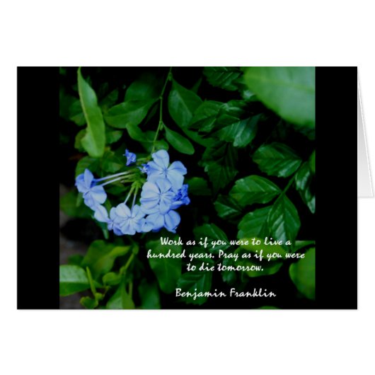 Floral motivatie (Voorkant Horizontaal)