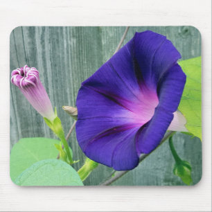 Floral Muismat