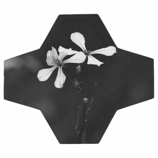 floral noir et blanc minimal (Plat)