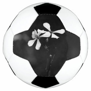 floral noir et blanc minimal