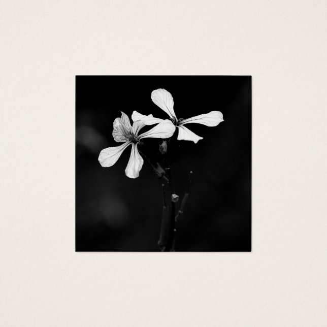 floral noir et blanc minimal (Devant)