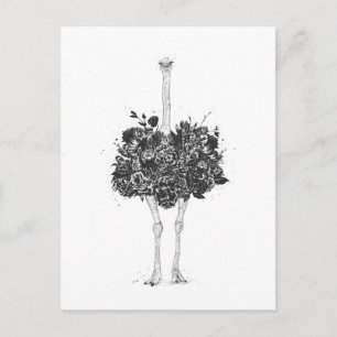 Floral ostrich briefkaart