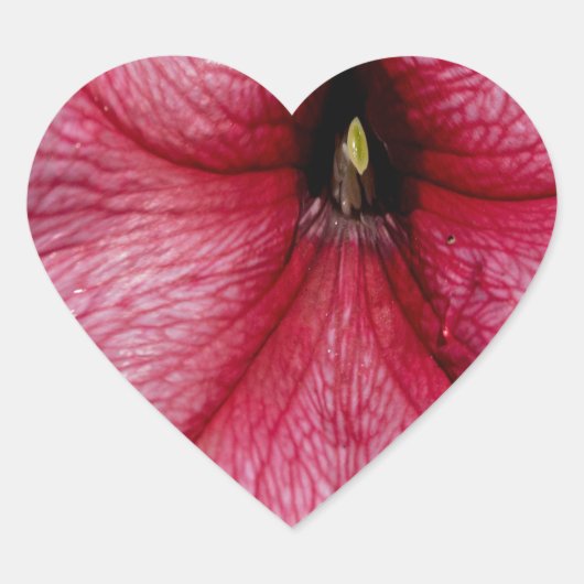 Floral Outburst Hart Sticker (Voorkant)