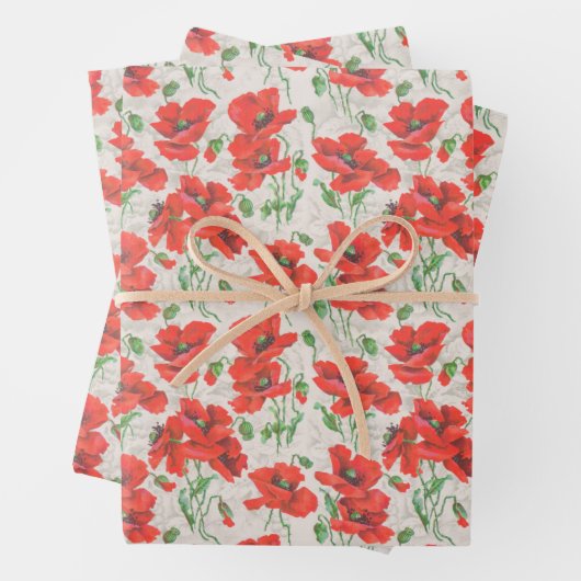 Floral Pattern Inpakpapier Vel (In situ)