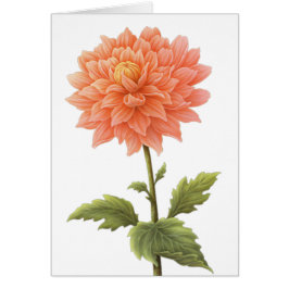 Floral Peach Oranje Dahlia Flower Painting