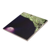 Floral Photo Ceramic Tile Tegeltje (Zijkant)