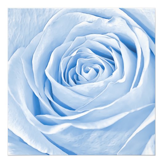 Floral Photo Dainty Rose bleu clair (Devant)
