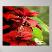 Floral Pond Poster (Voorkant)