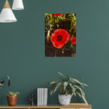 Floral Poppy Dreamer – Botanical Fantasy Art 