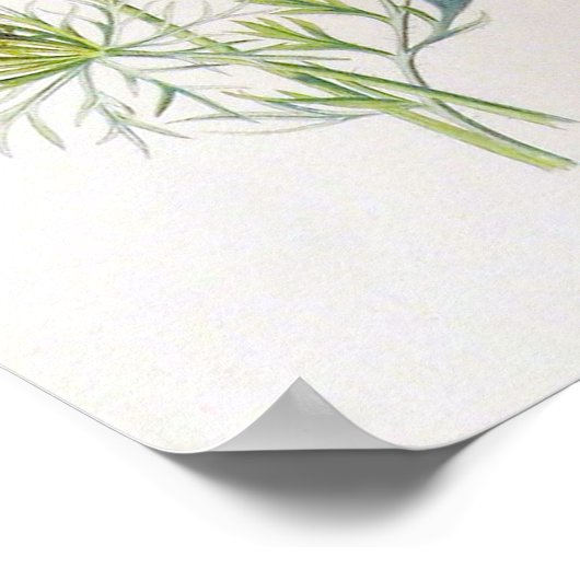  Floral Poster (Hoek)